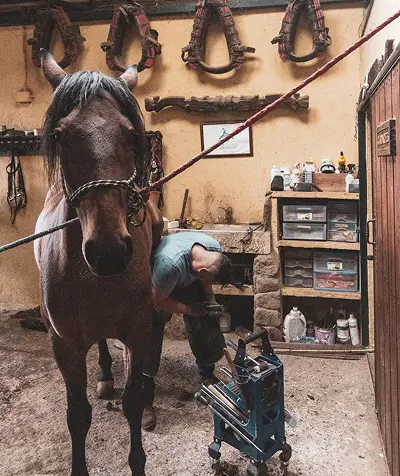 Equine Marketplace Apps